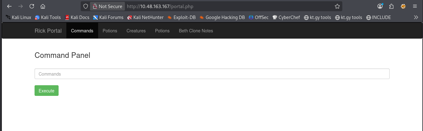 successful login/command panel