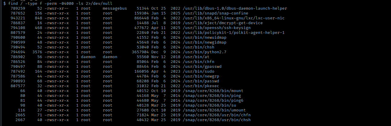 the SUID binary search results